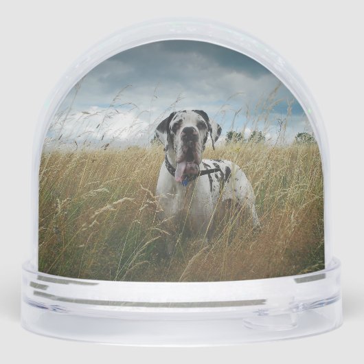 personalized snow globe featuring two of your own  (裏面)