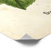 Personalized Vintage Basil Herb Botanical Kitchen  ポスター (角)