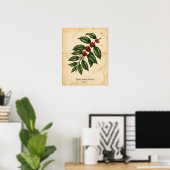Personalized Vintage Coffee Plant Botanical ポスター (ホームオフィス)