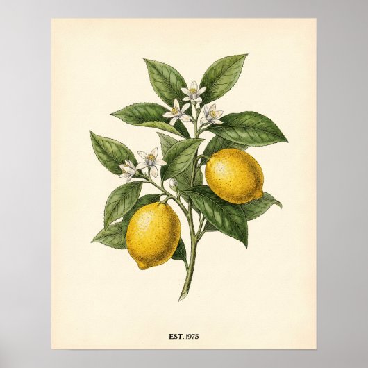 Personalized Vintage Lemon Botanical Farmhouse Kit ポスター (正面)