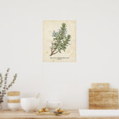 Personalized Vintage Rosemary Herb Botanical ポスター (キッチン)