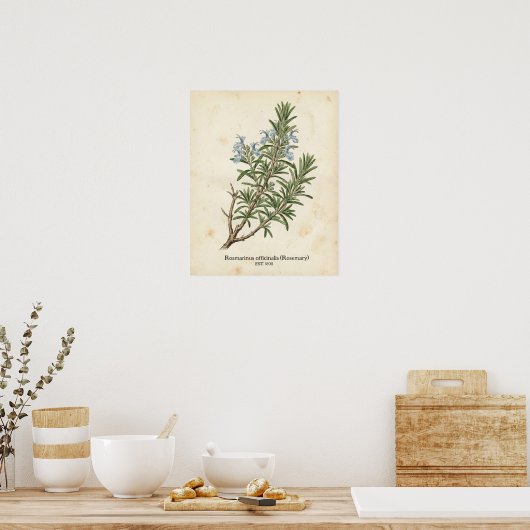 Personalized Vintage Rosemary Herb Botanical ポスター (キッチン)