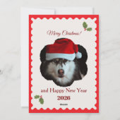 Personlized Merry Christmas Photo Card シーズンカード (裏面)