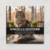 Personnalisée de Chatterie Maine Coon スクエア名刺 (正面)