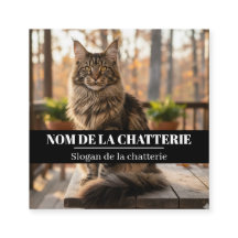 Personnalisée de Chatterie Maine Coon