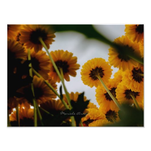 Perspectiva フォトプリント (正面)