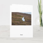 Perthshire Scotlandカード・ブラウンヘア カード (裏面)