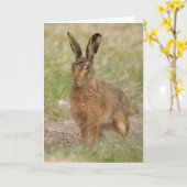 Perthshire Scotlandカード・ブラウンヘア カード (黄色い花)