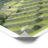 peruv llama border ポスター (角)