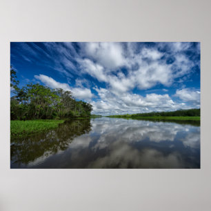 Peruvian Jungle Reflections ポスター