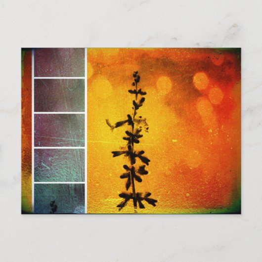 Pervoskia Collage Aflameポストカード ポストカード (正面)