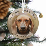 Petおもしろいがクリスマスいけなの写真ガラスを定義 ガラスオーナメント<br><div class="desc">ペットおもしろいフォトクリスマスガラスオーナメント。デザインの特徴、あなたの犬や猫の写真、オーバリー、文字いけな'DEFINE'とペットの名前。素晴らしい記念ギフトを作る。</div>