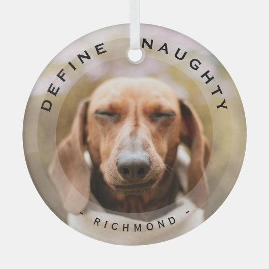 Petおもしろいがクリスマスいけなの写真ガラスを定義 ガラスオーナメント (正面)