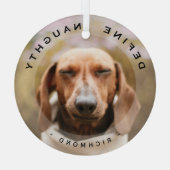 Petおもしろいがクリスマスいけなの写真ガラスを定義 ガラスオーナメント (裏面)