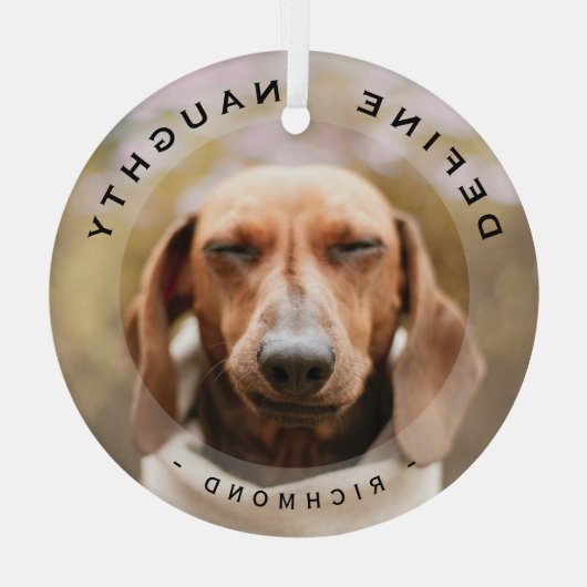 Petおもしろいがクリスマスいけなの写真ガラスを定義 ガラスオーナメント (裏面)