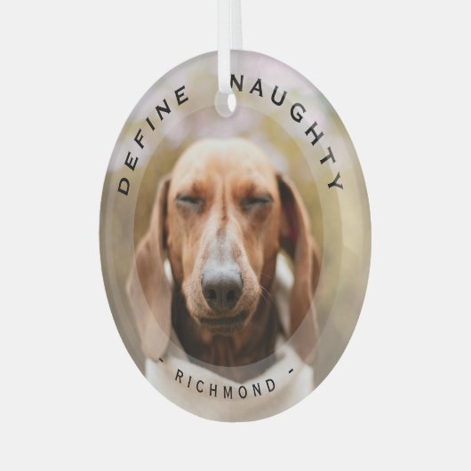 Petおもしろいがクリスマスいけなの写真ガラスを定義 ガラスオーナメント (正面左)