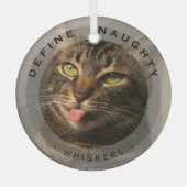 Petおもしろいがクリスマスいけなの写真ガラスを定義 ガラスオーナメント (正面)