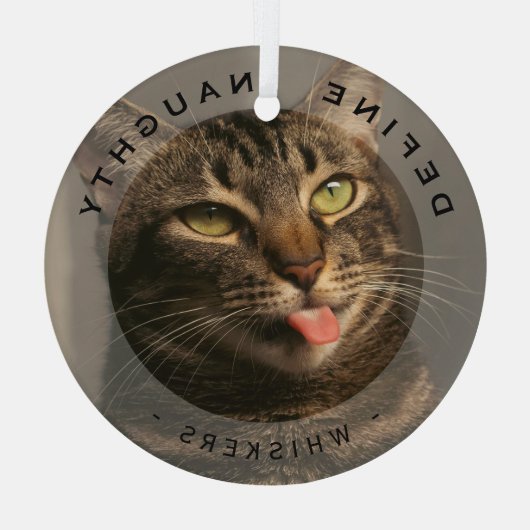 Petおもしろいがクリスマスいけなの写真ガラスを定義 ガラスオーナメント (裏面)