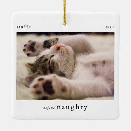 Petミニマル写真いけなの適用領域の定義 セラミックオーナメント (裏面)