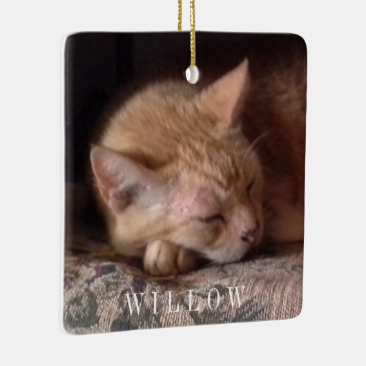 PETラブセラミックスクエアオーナメント セラミックオーナメント (右)