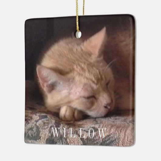 PETラブセラミックスクエアオーナメント セラミックオーナメント (左)