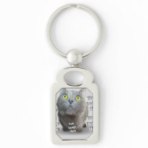 PET写真✨ラブリーカスタム