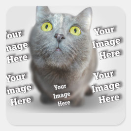 PET写真✨ラブリーカスタム ハートシール