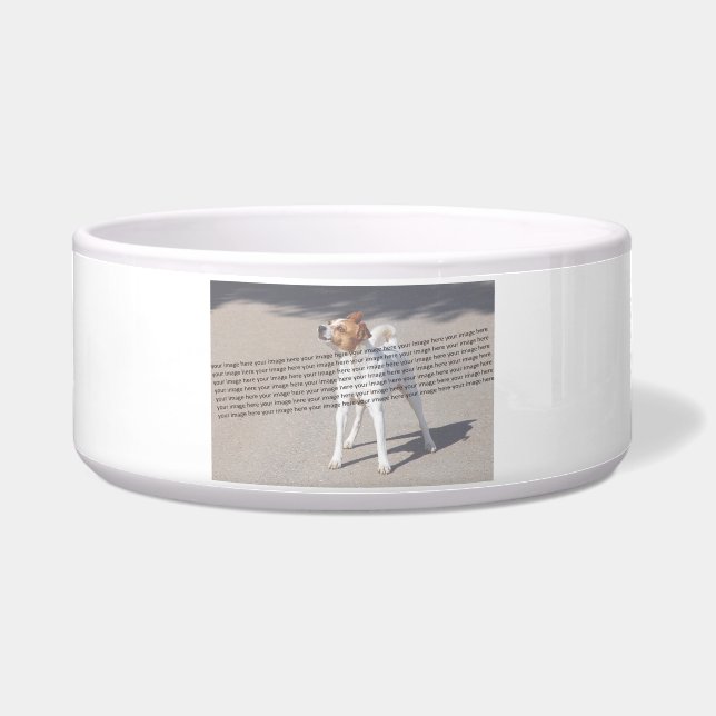 PET写真✨ラブリーカスタム ボウル (正面)