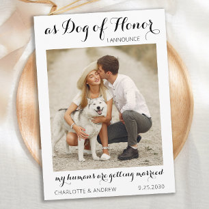 PET パーソナライズされた DOGフォトスモダント結婚スクリプト セーブザデート