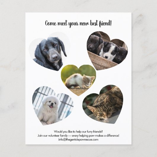 Pet Adoption Bake Sale Fundraiser チラシ (裏面)