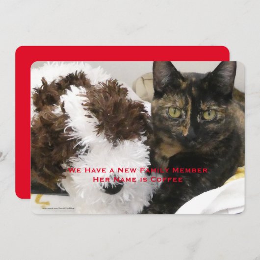 Pet Catの採用、名前、写真 案内状 (正面/裏面)