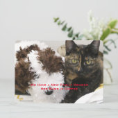 Pet Catの採用、名前、写真 案内状 (スタンド正面)