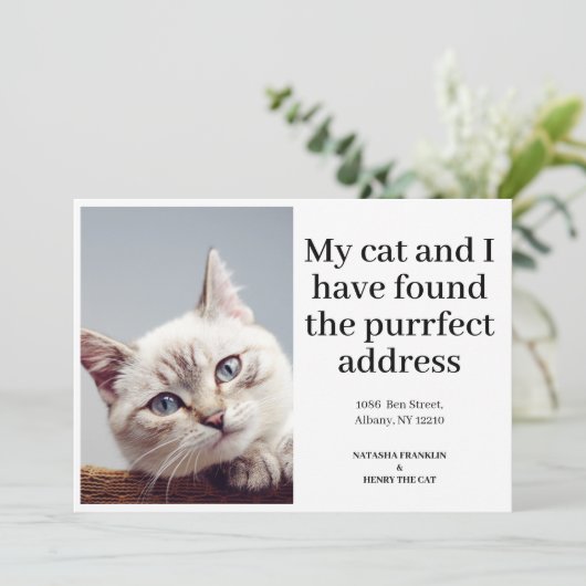 Pet Cat写真の新しいアドレス引っ越しました (スタンド正面)