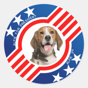 Pet Dog for President Photo USAの選挙2024 ラウンドシール