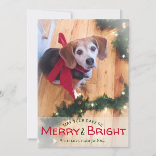 Pet & Family Photo & Bright メリー Christmasから シーズンカード (正面)