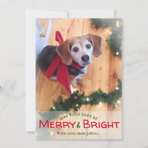 Pet & Family Photo & Bright メリー Christmasから シーズンカード