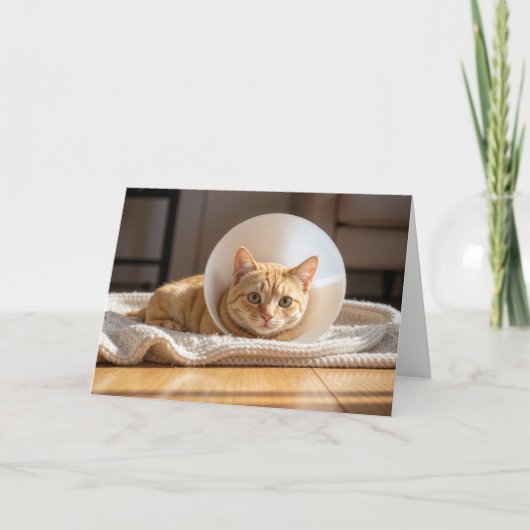 Pet Get Well Ginger Cat Wearing a Cone of Shame カード (正面)