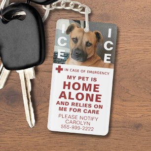 PET ICE Safetyアラート連絡の写真 キーホルダー