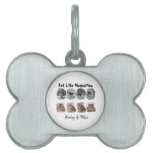 Pet Life Memories 8 Photo Collage Tribute Template