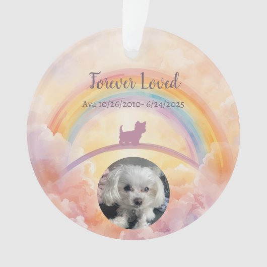 Pet Loss Ornament – Watercolor Heaven & Paw Prints オーナメント (正面)