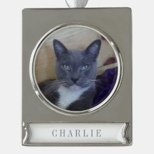 PET LOVEバナーオーナメント/シルバー シルバープレートバナーオーナメント