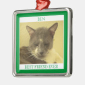 PET LOVEプレミアムスクエアオーナメント+文字/グリーン メタルオーナメント (左)