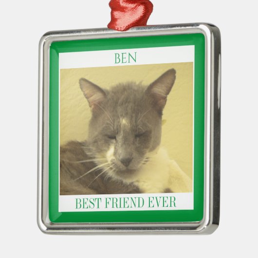 PET LOVEプレミアムスクエアオーナメント+文字/グリーン メタルオーナメント (左)