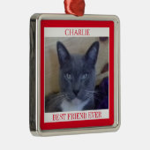 PET LOVEプレミアムスクエアオーナメント+文字/赤 メタルオーナメント (右)