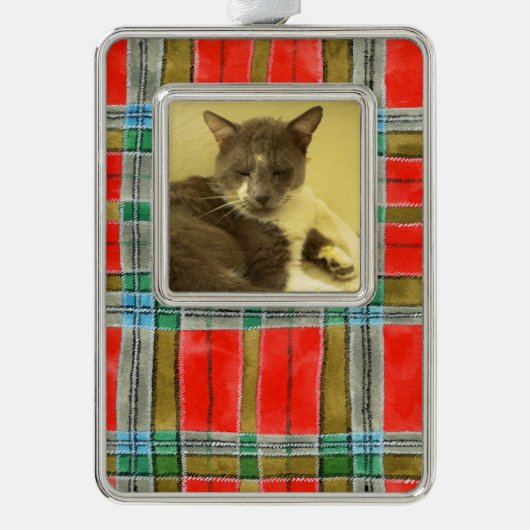 PET LOVE額縦型オーナメント/ MacBainプレイド シルバープレートフレームオーナメント (正面)