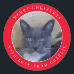 PET LOVE Large Round Christmasスタンプ/赤 ラウンドシール<br><div class="desc">このPET LOVEの大きな丸いメリークリスマスステッカーで封筒、パッケージ、またはクラフトプロジェクトを飾る。「カスタマイズPersonalize thisテンプレート」で簡単に。ペットの写真をアップし、「チャーリーからの愛と一緒に」をペットの名前に変え、明らかに「MERRY CHRISTMAS」も好きもしに。[編集デザイン]および[編集文字]を使用して、フォント、フォントサイズ、および/または色を変更する。*マッチング商品はショップのPET LOVEカテゴリーで販売。**このデザインもしを別のタイプ、形状、サイズに移したい場合は、まず私の店を調べてもし、私が既に完了しているのを見て下さい。なぜなら私はデザインを正しく合わせるために間違えて救、それは迷惑を掛けるから。時にはデザインは正常に転送し、時には転送しない。ちょっと聞いてくれ。要もし否救済は伝言を頼む。</div>