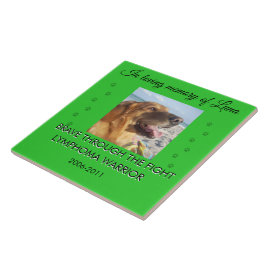 Pet Memorial 1 Photo - Brave Through The Fight  タイル