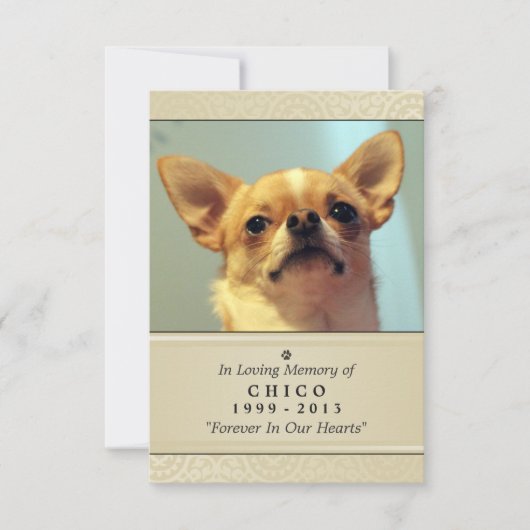 Pet Memorial Card 3.5インチx 5インチ – クリームフォトモダンー 案内状 (正面)