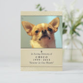 Pet Memorial Card 3.5インチx 5インチ – クリームフォトモダンー 案内状 (スタンド正面)