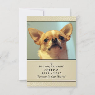 Pet Memorial Card 3.5インチx 5インチ – クリームフォトモダンー 案内状